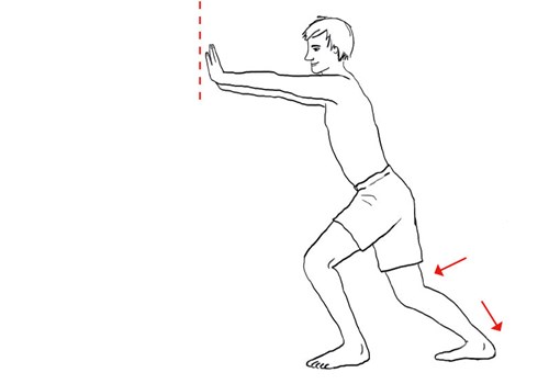 Vælte træer indre lægmuskel
