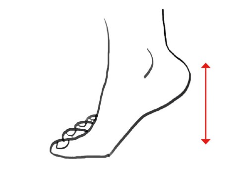 Kom op på tæerne og løft så hælen op og ned.