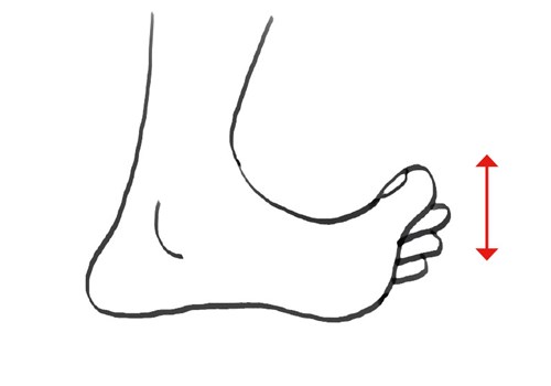 Stå på gulvet og vip tæerne op og ned