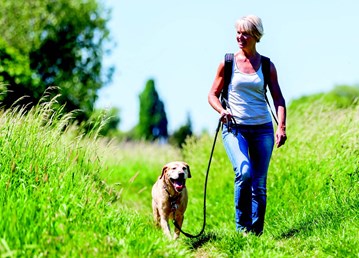 Kvinde går tur med hund i mark