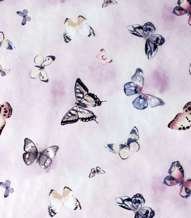 10 Spring Butterflies 10 Spring Butterflies